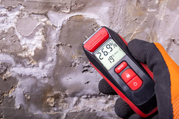 Buzzards Bay, MA Mold Removal Company