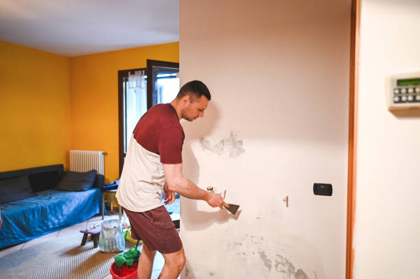Best Local Mold Removal Service  in Buzzards Bay, MA